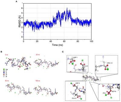 Calcium-binding properties, stability, and osteogenic ability of phosphorylated soy peptide-calcium chelate